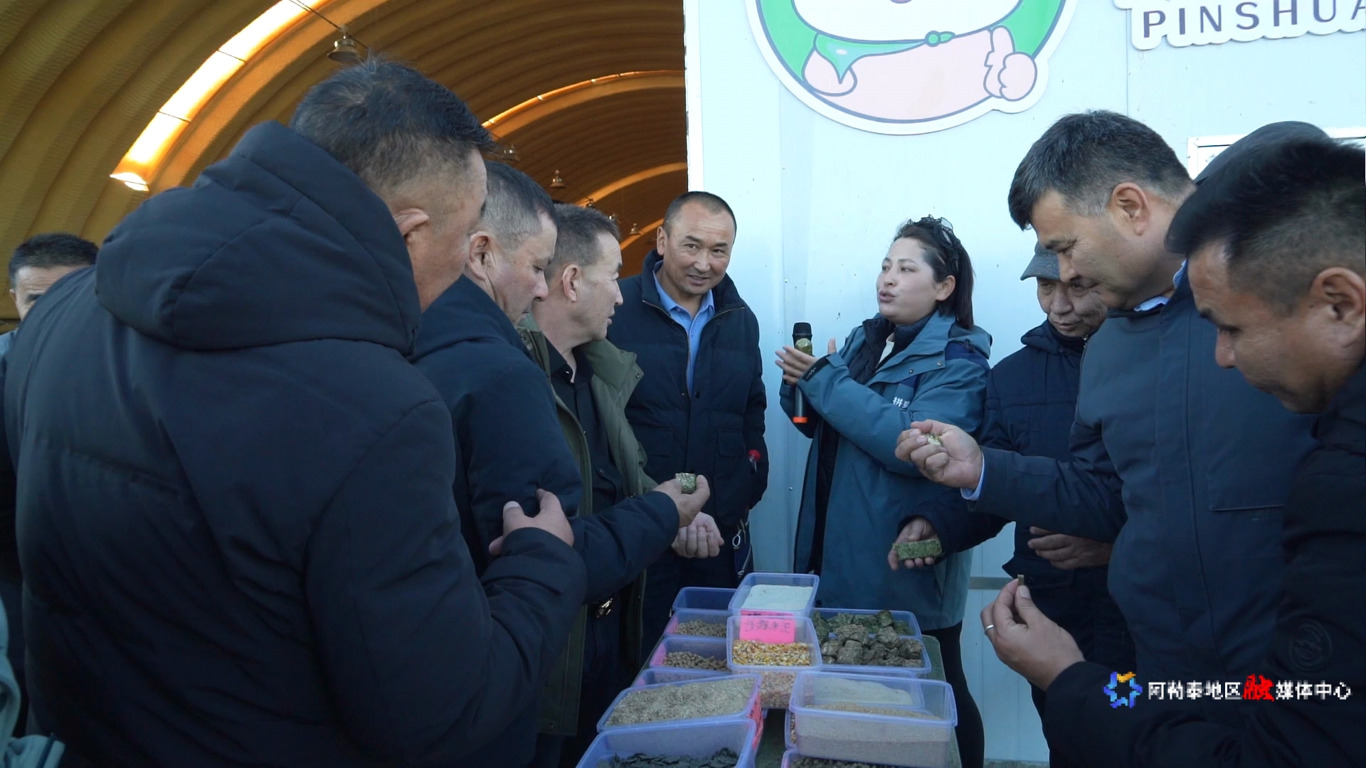 mmexport1732159374842