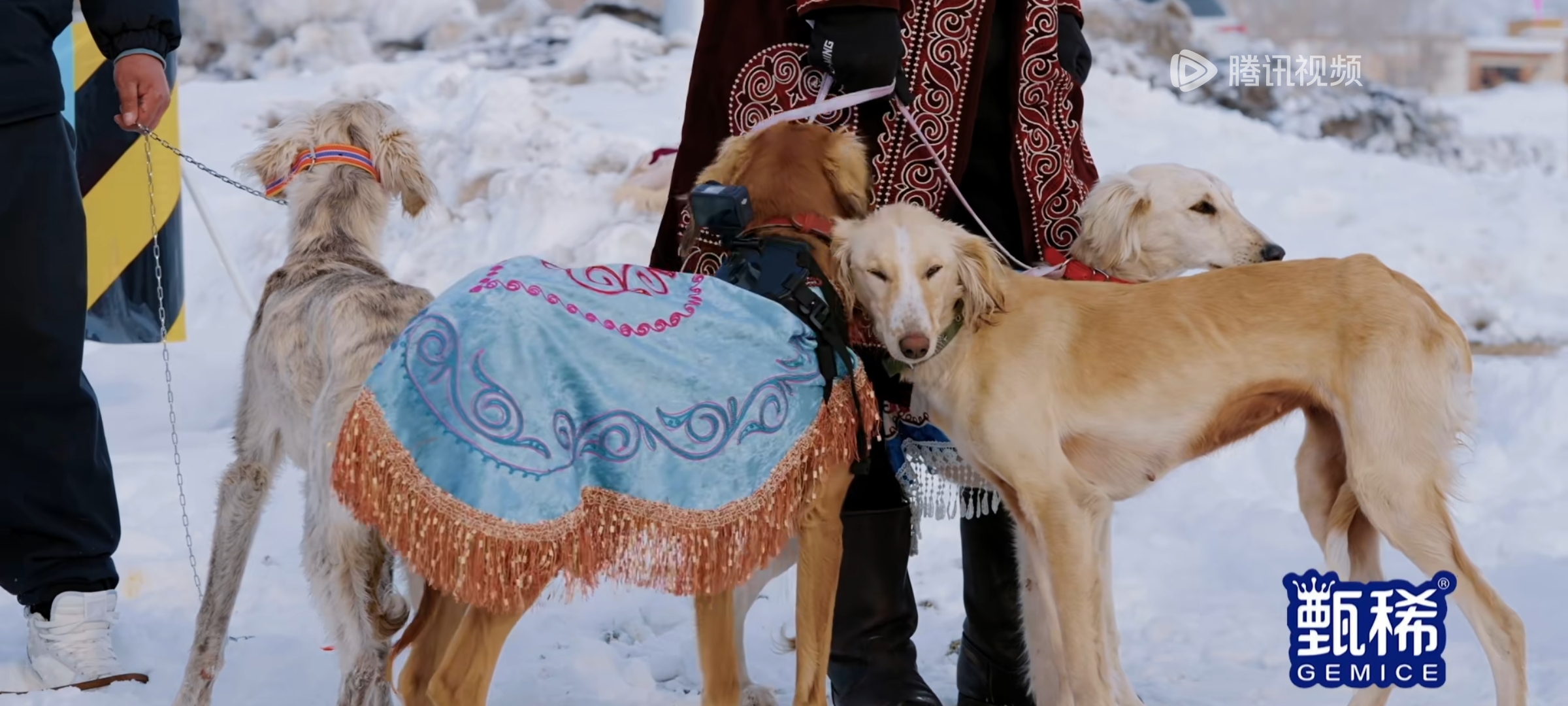 Screenshot_2025-04-12-12-31-46-315_com.tencent.qqlive